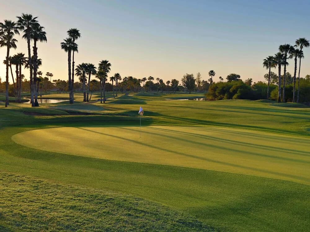 McCormick Ranch Golf Club - Palm - Photo 2